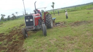 Landbouwproject Madonkeh and Mabrown (14)