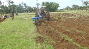 Landbouwproject Madonkeh and Mabrown (15)