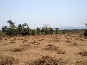Landbouwproject Madonkeh and Mabrown (07)